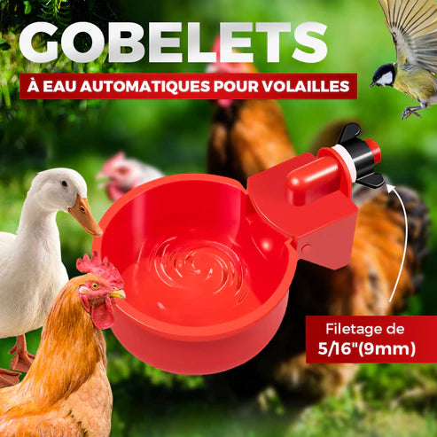 Gobelets Automatique d'Eau Poulailler - 10 pièces